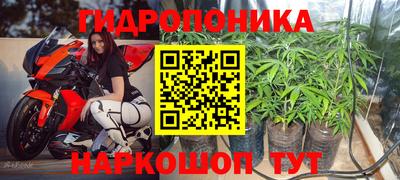 мяу мяу мука Коммунар